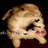 333larpist666